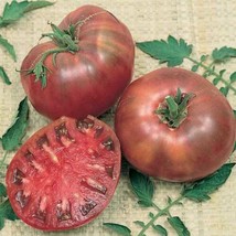 Cherokee Purple Tomato Seeds, Heirloom, NON-GMO, Variety Sizes, Free Shipping - £1.31 GBP+