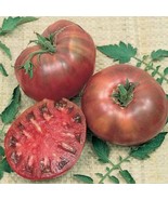 Cherokee Purple Tomato Seeds, Heirloom, NON-GMO, Variety Sizes, FREE SHI... - $2.69 CAD+