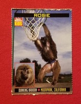 1998 Sports Illustrated For Kids Rosie #681 Dunking Baboon FREE SHIPPING - £1.38 GBP