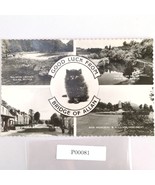 Vtg 1950s Postcard Black Cat Good Luck Bridge of Allan Stirlingshire Sco... - $301.34 MXN