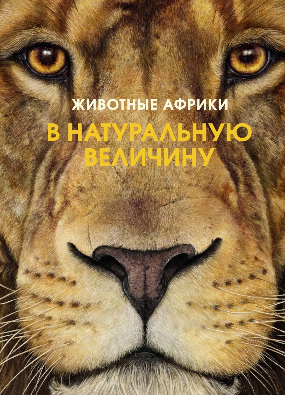 Zhivotnye Afriki v naturalnuju velichinu - $30.00