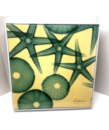 Sea Urchins &amp; Starfish 16 1/2&quot; x 16 1/2&quot; Art Print Picture - $9.90