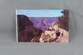 Vintage Postcard - The Grand Canyon Mule Train - Petey - £11.74 GBP