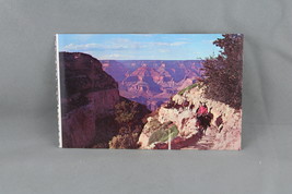 Vintage Postcard - The Grand Canyon Mule Train - Petey - $15.00