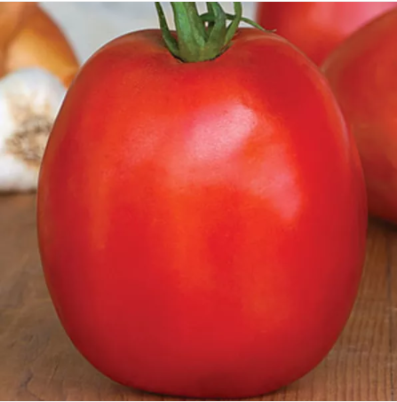 Tomato SuperSauce Hybrid Seeds 100pcs the World's Largest Sauce Tomato