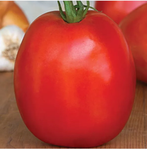Tomato SuperSauce Hybrid Seeds 100pcs the World&#39;s Largest Sauce Tomato - £9.07 GBP