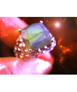  HAUNTED RING THE ASCENDED KING HIGHEST LIGHT COLLECTION MAGICK 7 SCHOLAR - $327.77