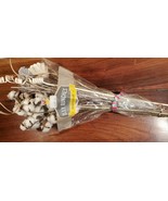 Natural Various Long Stemmed Bouquet w/ Lotus Pods, Cotton, Others  (NEW) - £23.35 GBP