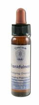 Crystal Herbs Developing Positivity Thankfulness 10 ml - £12.28 GBP