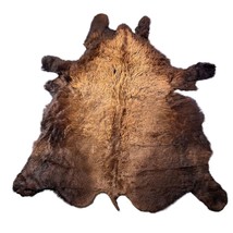 Bison Skin (huge, winter coat, beautiful and huge skin) Size: 8x7 feet LOT # 8 - £1,093.37 GBP