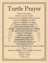 Turtle Prayer poster - $22.83 MXN