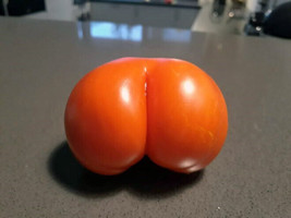 US Seller 50 Weird Ass Tomato Seeds New Fresh - £4.22 GBP