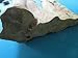 Item image 15