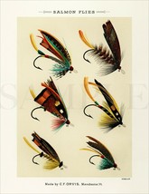 8.5x11 Vintage Fishing Flies Bait Lure Drawing Fine Art Print Picture Poster Old - £9.70 GBP