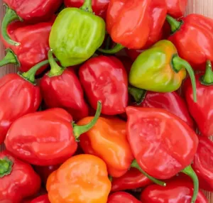 25 Seeds Caribbean Red Habanero Pepper Vegetables Planting Edible Food Fresh - £8.15 GBP