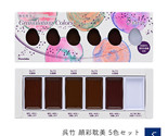 Kuretake Paint Gansai Tanbi Granulating Colors 5 colors MC20GN/5V - $48.19