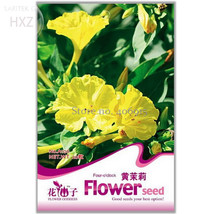 Flowers Yellow Jasmine Seeds 20 Seeds Long Flowering Period Flower Light Up Your - $9.75