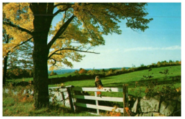 Massachusetts Countryside in the Fall Massachusetts Postcard - £5.41 GBP