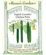 THJAR Cucumber Chelsea Prize Vegetable Seeds - Renee&#39;S Garden 12/24 - $174.87 MXN