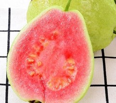 RARE 20 Pink pearl guava SEEDS FROM USA - £3.97 GBP