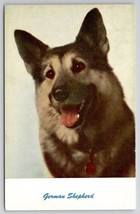 German Shepherd Dog Postcard F27 - £3.12 GBP