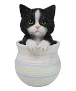 Lifelike Black And White Tuxedo Cat In Pastel Artsy Pot With Glass Eyes ... - $510.87 MXN