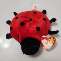 TY Beanie Baby LUCKY the Ladybug  5 inch 9 plus spots MWMTs Stuffed Animal Toy - £8.92 GBP