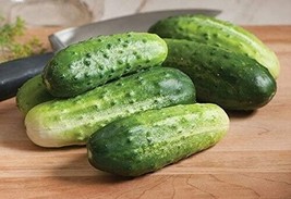 BEST 25 Seeds Easy To Grow Little Leaf H-19 Cucumbers Hybrid Cucks Vegetable - $10.00