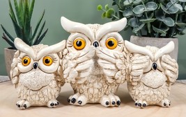 Ebros See Hear Speak No Evil Wise Acrobatic Fat Owls Figurine 7.25&quot; Wide... - $19.99