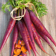 Fresh 100 Cosmic Purple Carrot Seeds  - $5.79