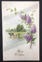 Antique Best Wishes PC Cows Drinking Water on Farm Forget Me Not Flowers - £4.63 GBP