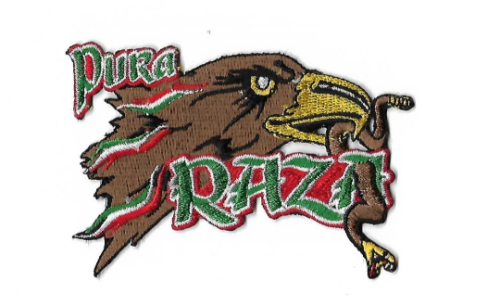 Aztlan Patch Mexico Flag Eagle Pure Raza Patch Chicano Power La Raza Aztlan Lowrider ...