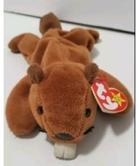 RARE &quot;Bucky&quot; Te beaver TY Beanie baby with Errors PVC Pellets  Style #4016 - $12.98 CAD