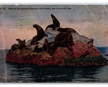 Seal Rocks Near Cliff House San Francisco California CA DB Postcard C20 - $1.93