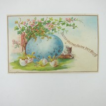 Victorian Trade Card Dayton Spice Mills Co Ohio Easter Egg Baby Birds Hatch Cat - £11.76 GBP