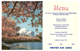 United Airlines Japanese cherry blossoms Jefferson Memorial Airplane Pos... - £7.77 GBP