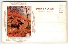 Moose In Woods Forest Advertising Postcard Cosmopolitan Relief Camden NJ... - $18.00