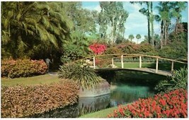 Vintage Cypress Gardens Florida Unused Postcard - £37.61 GBP