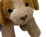 Webkinz Plush an Puppy Dog Clip 6 inches long Rare No tags - £5.57 GBP