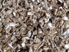 Anchovy Head Scraps as Food for Dogs and Cats Packaged in 1kg zip-lock b... - €4,38 EUR