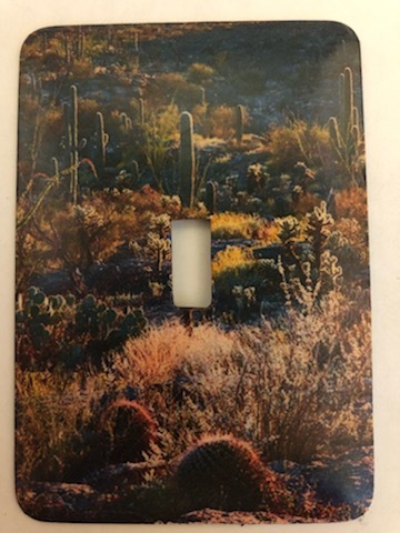 Primary image for Cactus Metal Switch Plate Scenic