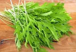 USA Green Mizuna Mustard Japanese Greens Brassica Juncea Herb 1000 Seeds - $10.99