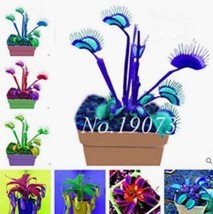 Seed 100 Pcs/Bag Rare Flycatcher Potted Mixed Insectivorous Seed Plant Dionaea M - £4.70 GBP