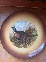 Vintage Large Brown w Male Ring-Neck Pheasant Wildfowl Rustic Cabin Decor Plate  - £14.78 GBP