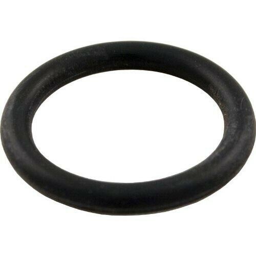 Pentair 191479 O-Ring for Pool or Spa Valve and Filter - $11.46