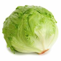 Fresh Seeds Iceberg Lettuce Seeds | Non-GMO - £6.98 GBP