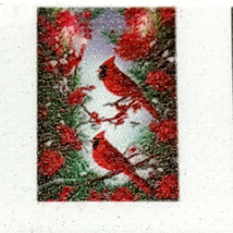 5D Diamond Painting Kits North American Cardinal Snow Christmas Gift Idea - $9.49