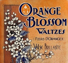 Orange Blossom Waltzes 1900 Victorian Sheet Music COVER Art Ludovic DWEE4 - £39.50 GBP