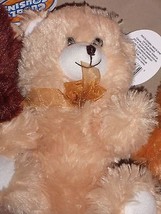 Teddy Bear Cuddly Cousins 10&quot;  New!!Caramel  - £6.24 GBP