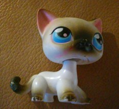 Littlest Pet Shop Siamese Cat  #5 LPS (G) - £20.57 GBP